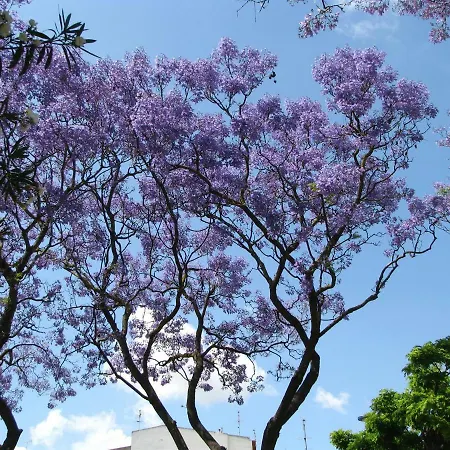 Praia Da Rocha - Edificio Justar Portimão